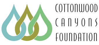 CCF_Enfold_Logo.png