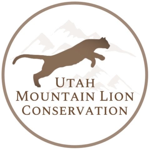 Utah Mountain Lion.jpeg.jpeg