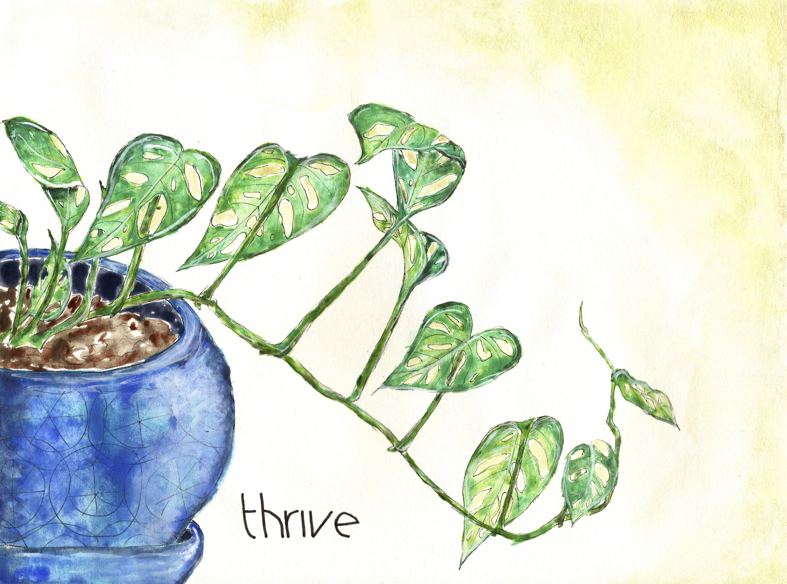 thrive.jpg