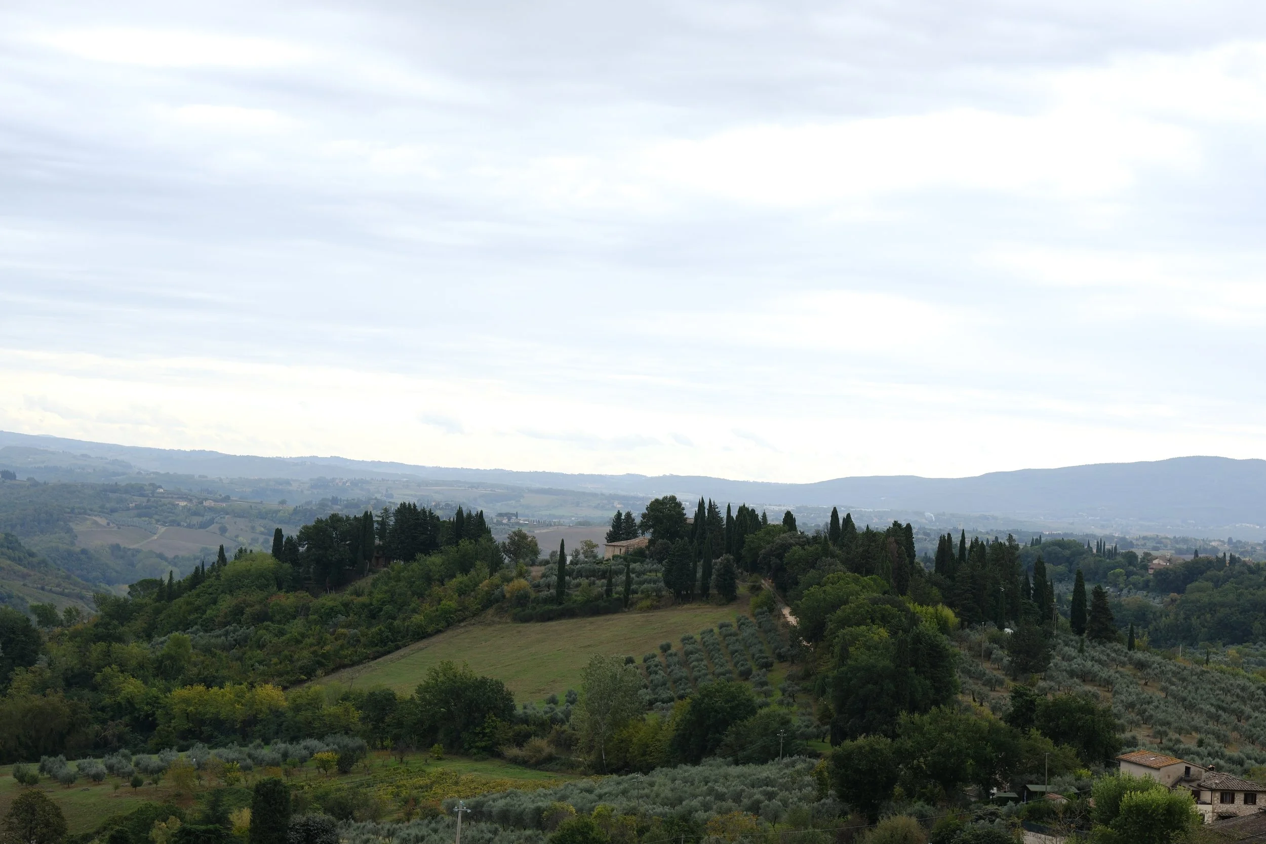 2023-10-26 13.01.04.jpg