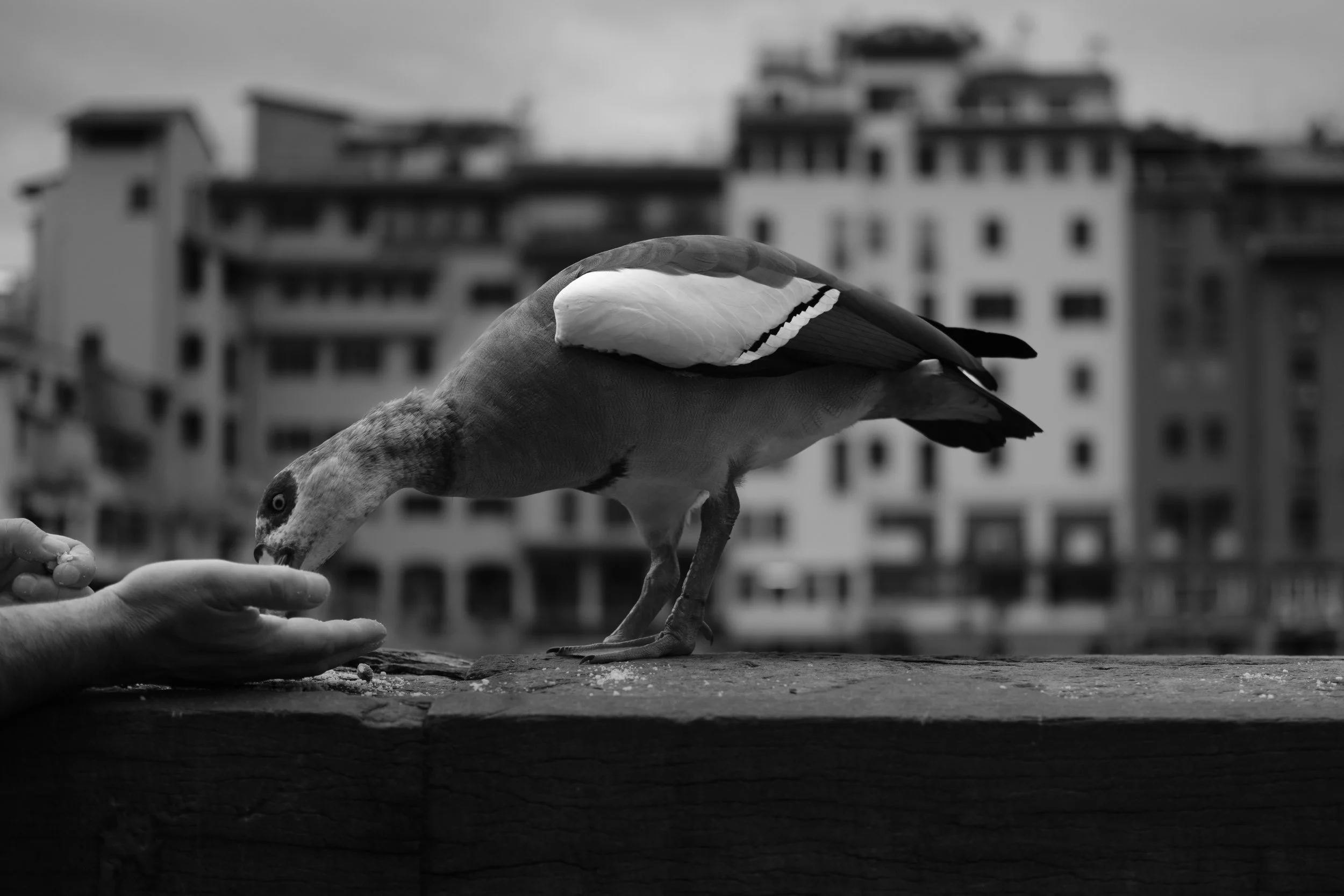 2023-10-23 17.24.56-2.jpg