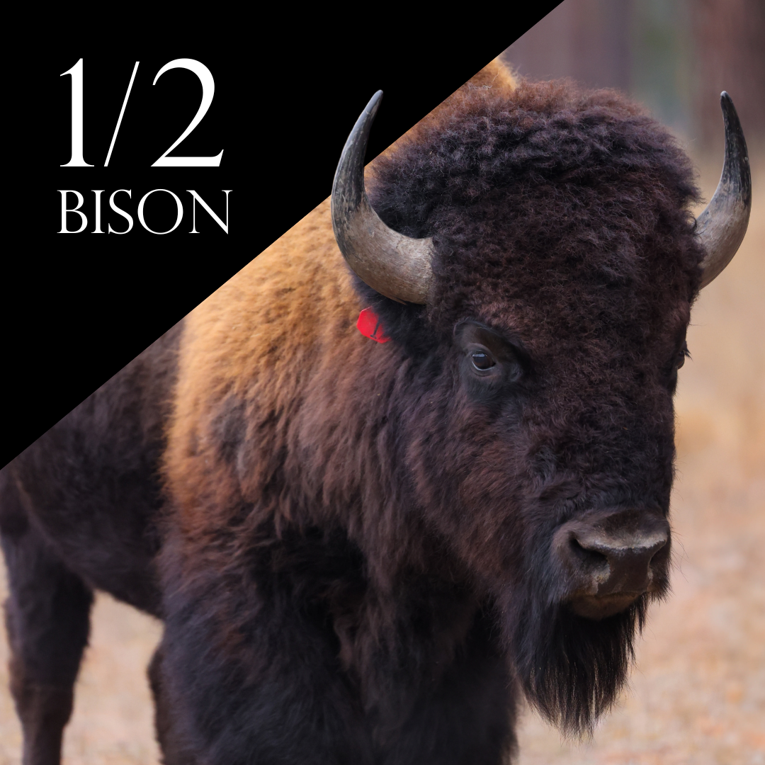 1/2 Half Bison Package - $14.75/lb ($700 Deposit)
