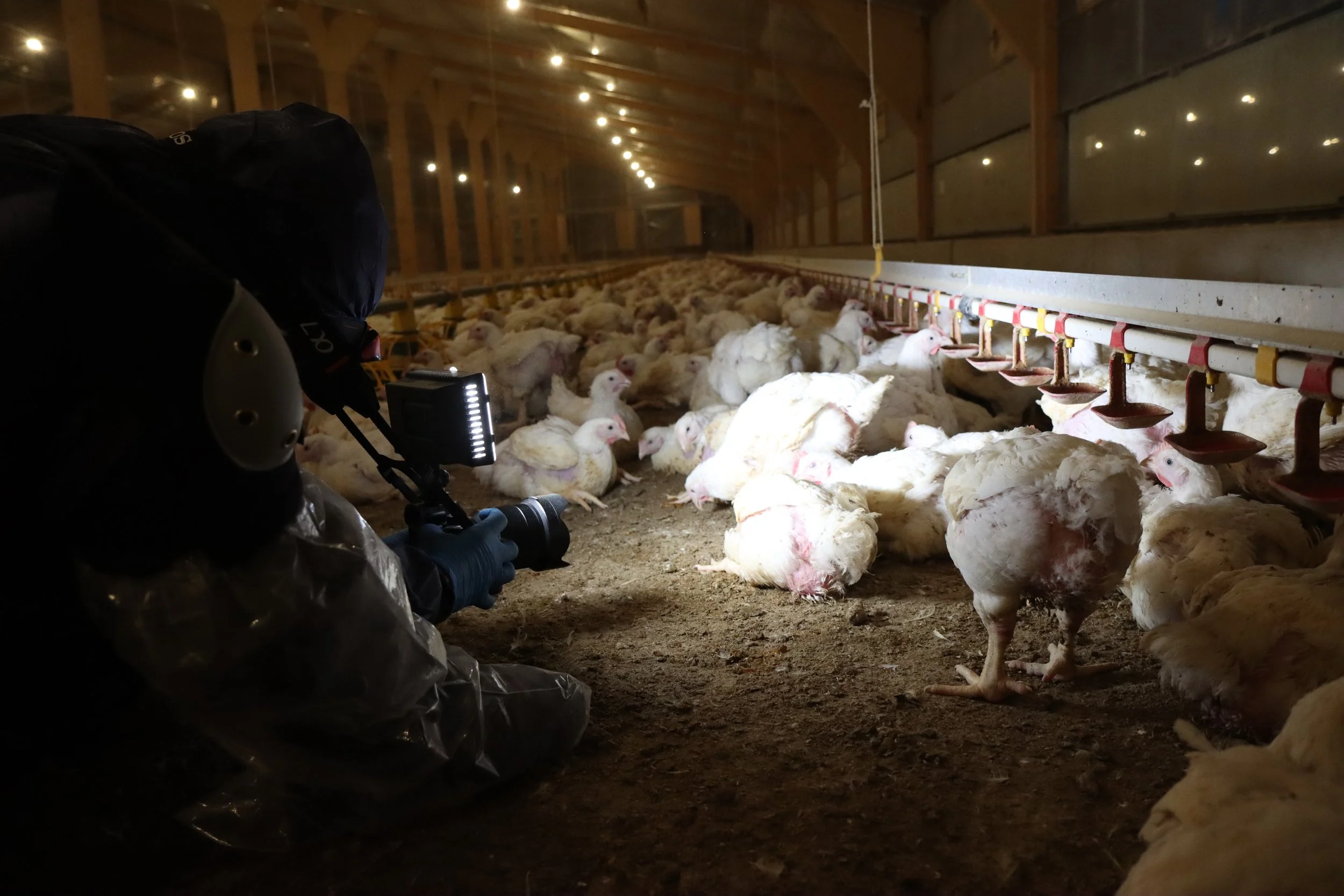  2025. Evidence That Drives Change.