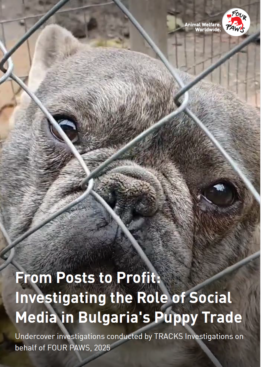 From Posts to Profit