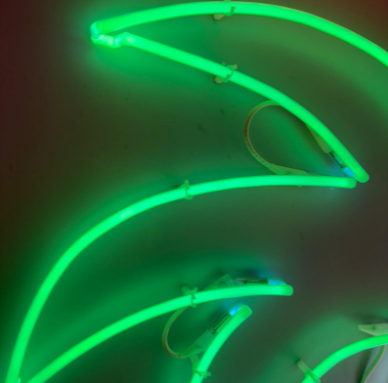 Captura de pantalla 2026-02-19 152454.png