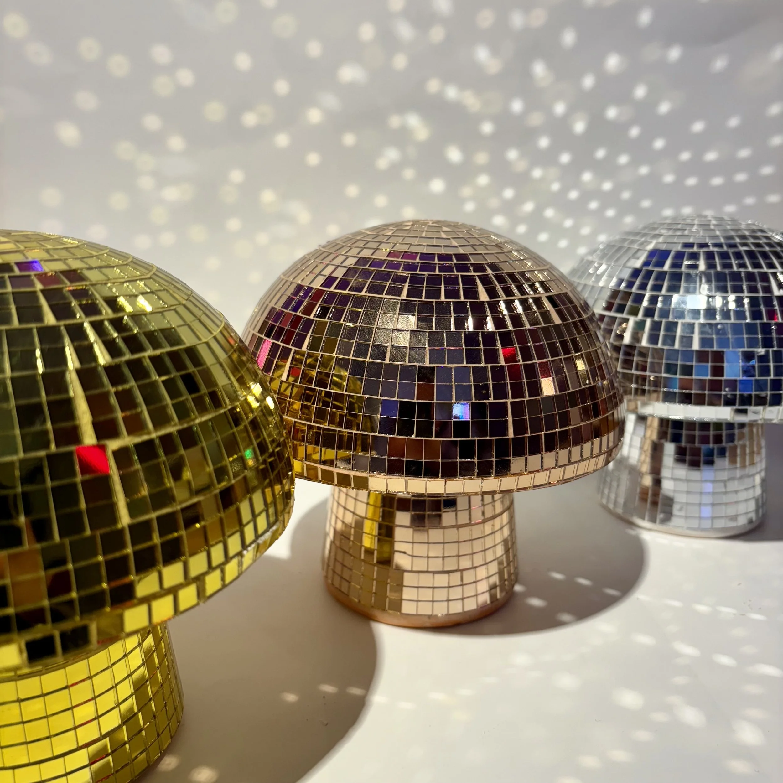 SETA DISCO