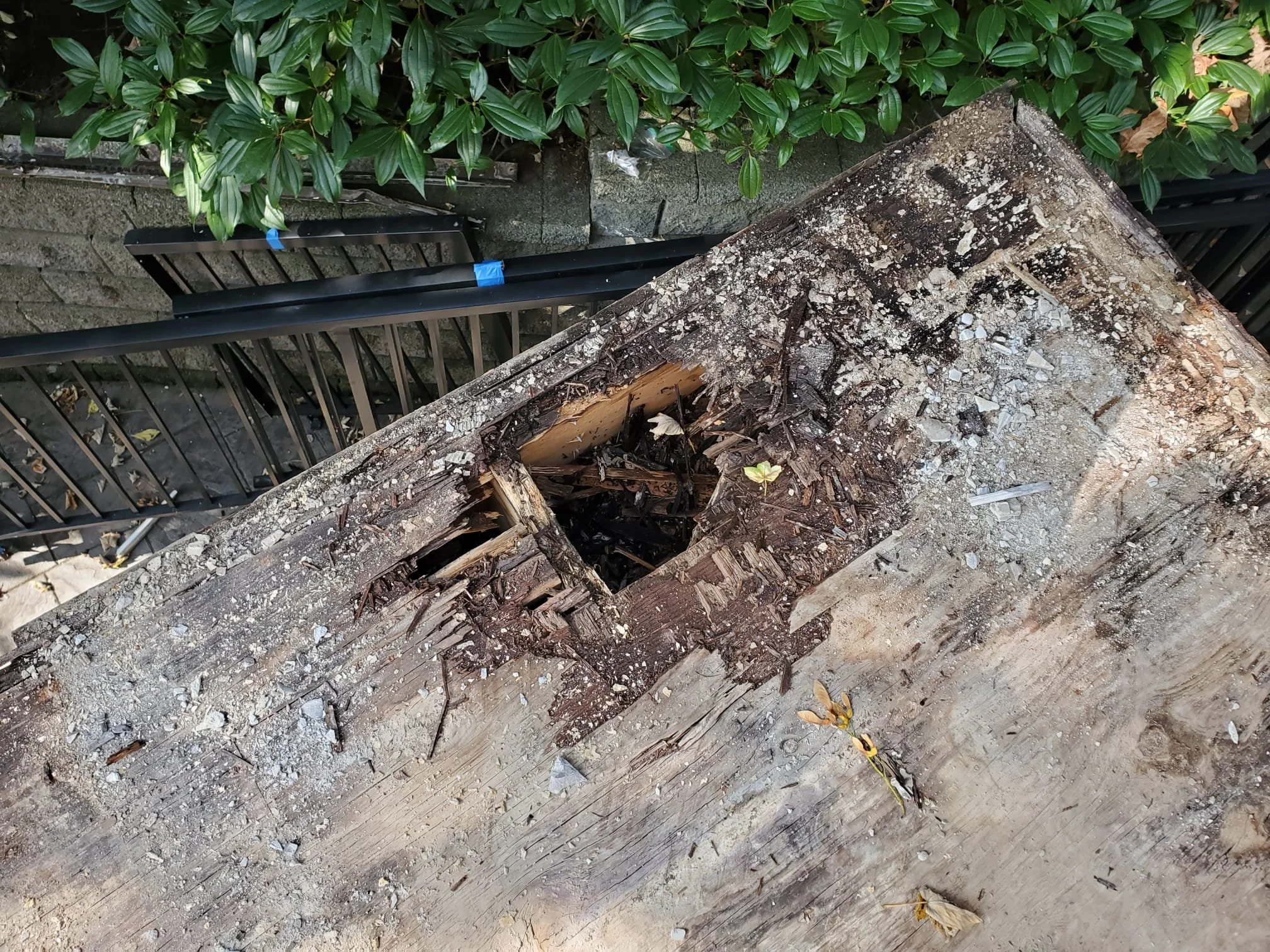 Deck Renovation Vancouver