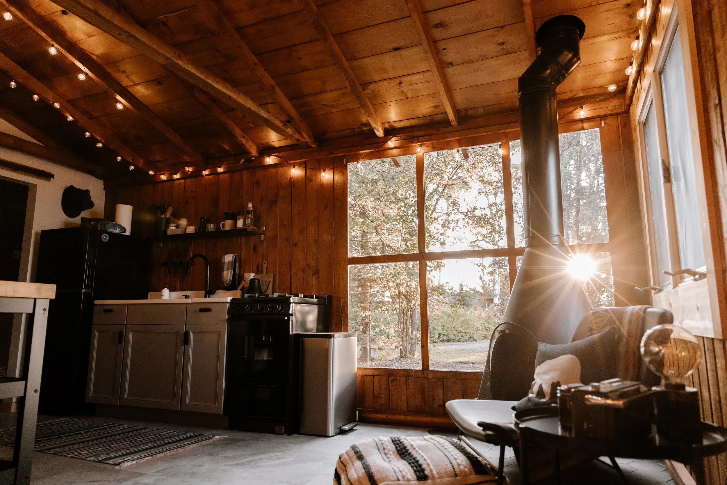 Warmth in the Chill