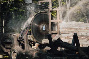 Forestry — The Haliburton Forest Group