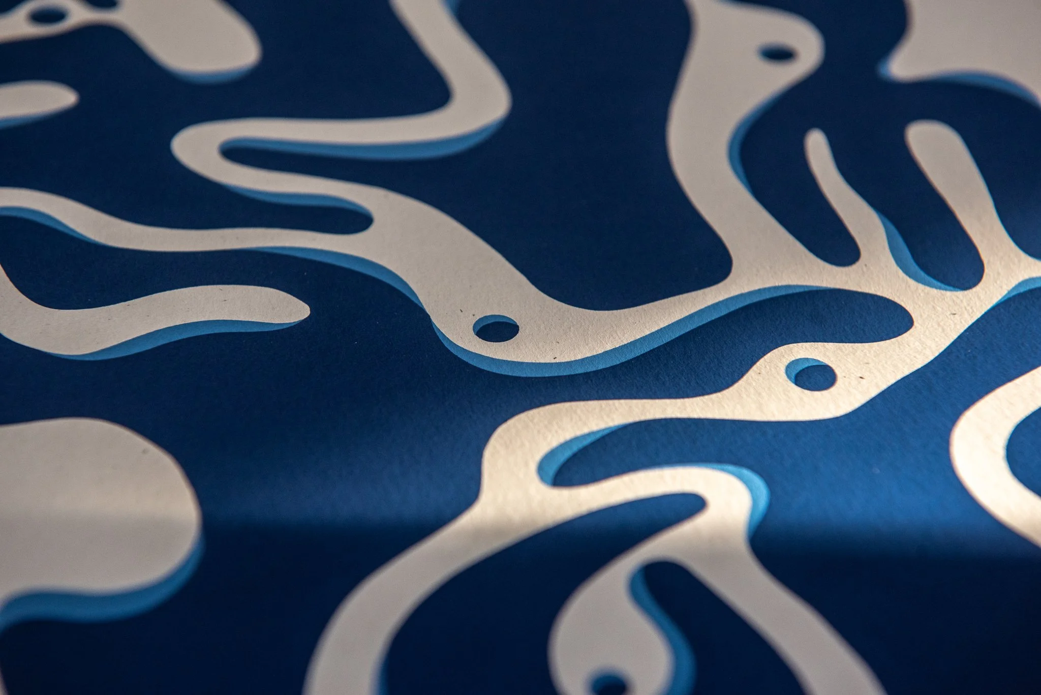 Detail Print Shots_Humans.jpg