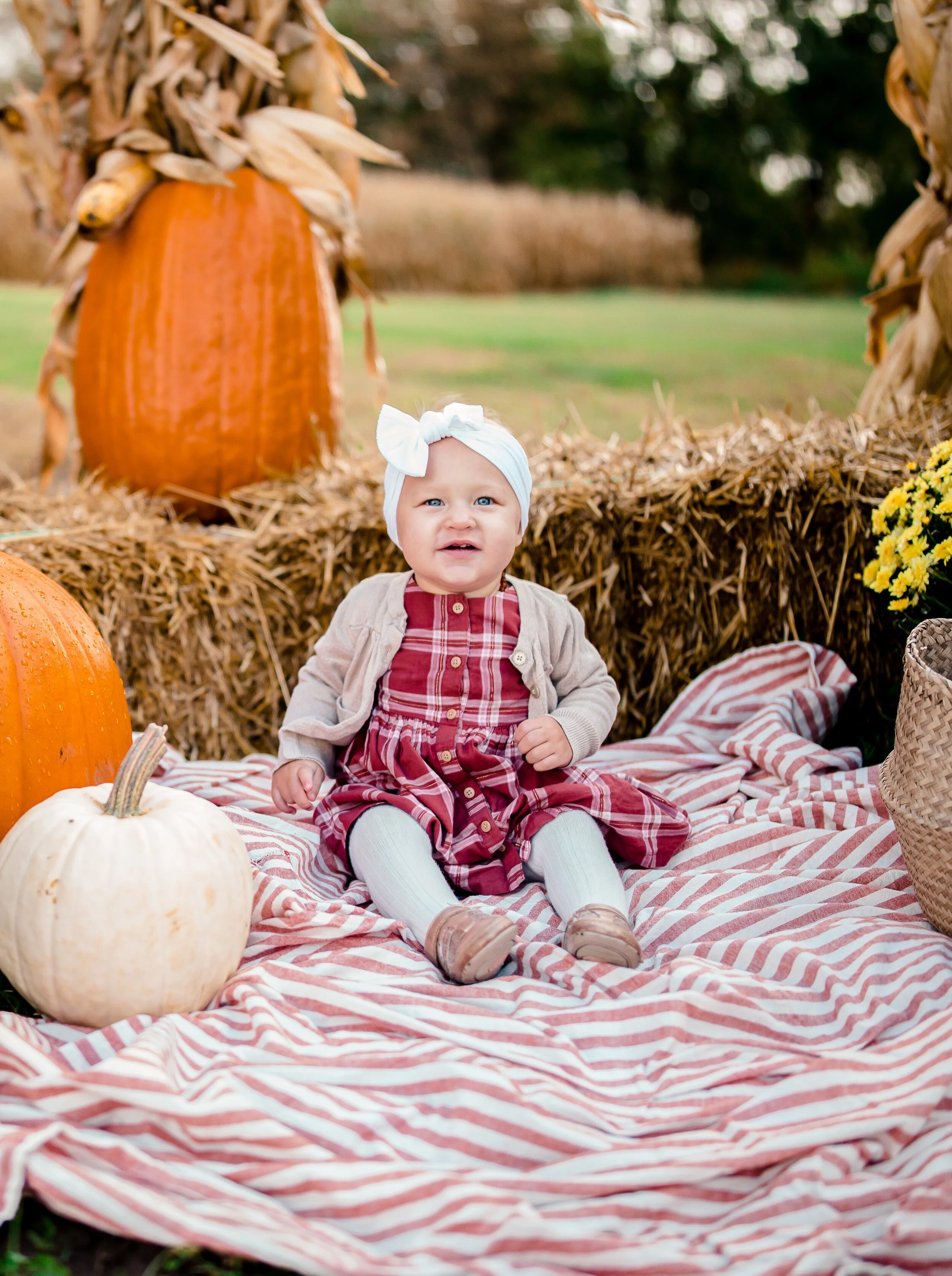 IMG_0271-2addcrop.jpg