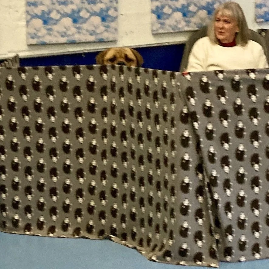 A woman with gray hair and a white sweater sitting in a room with blue and white artwork on the walls. A dog is peeking over a blanket with a black and white dog pattern, partially obscured.