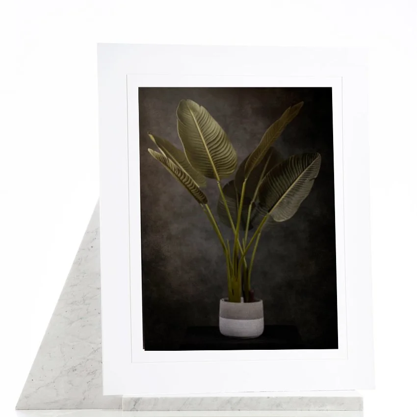 Mega_Mat_White_01-Plant.jpg