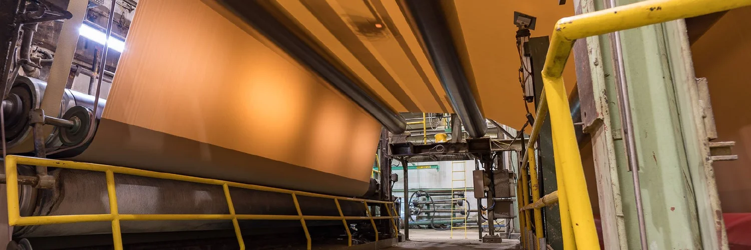 Canadian Kraft Paper, Ltd. — Canadian Kraft Paper, Ltd.