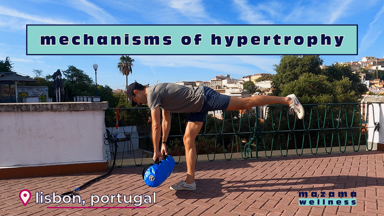 Mechanisms of Hypertrophy