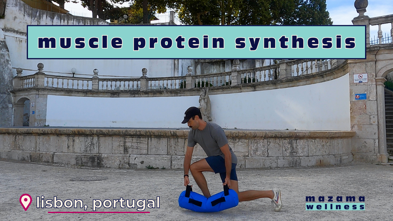 Muscle Protein Synthesis