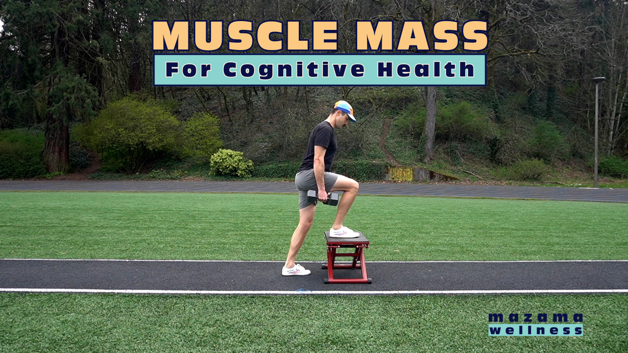 Muscle Mass for Cognitive Health