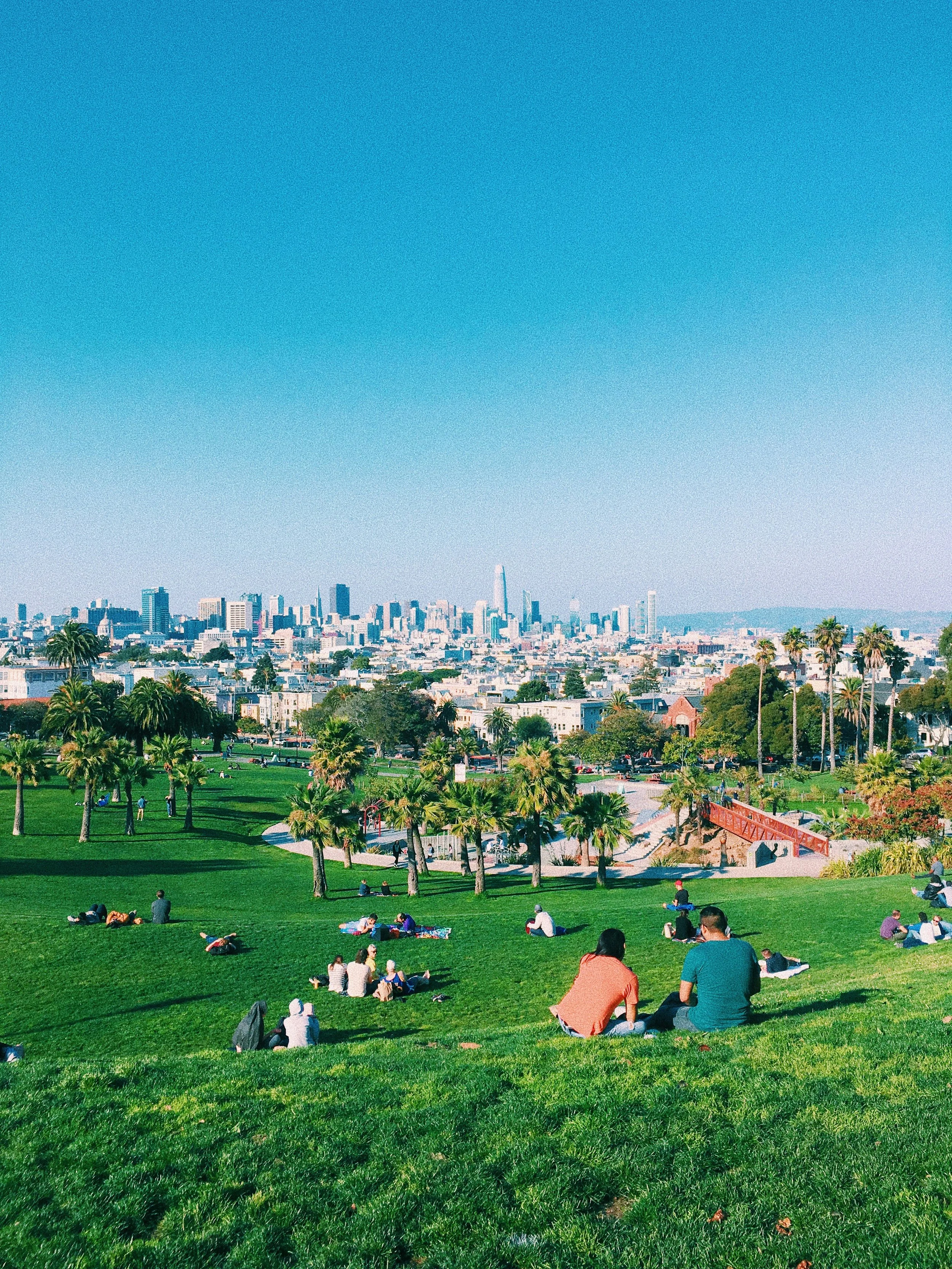 People relaxing on green grass in a park with palm trees and a city skyline in the background under a clear blue sky.