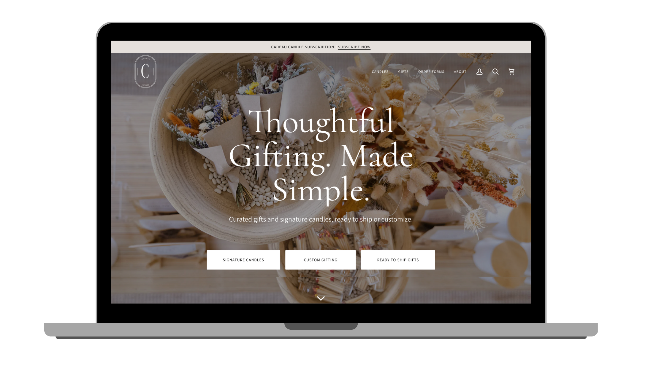 Untitled design (11).png