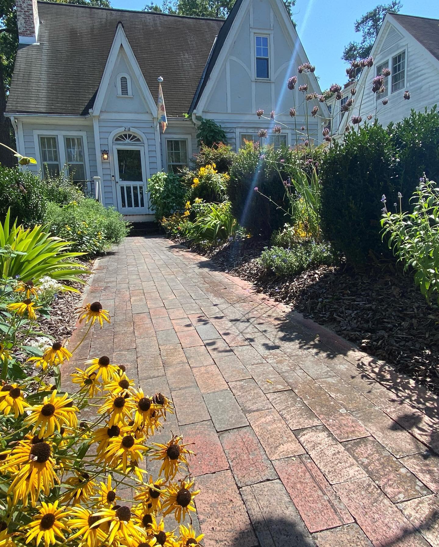 Cottagey garden feel in Durham. 🐝 love it!  And who doesn&rsquo;t love the ☀️ color of rudbeckia?