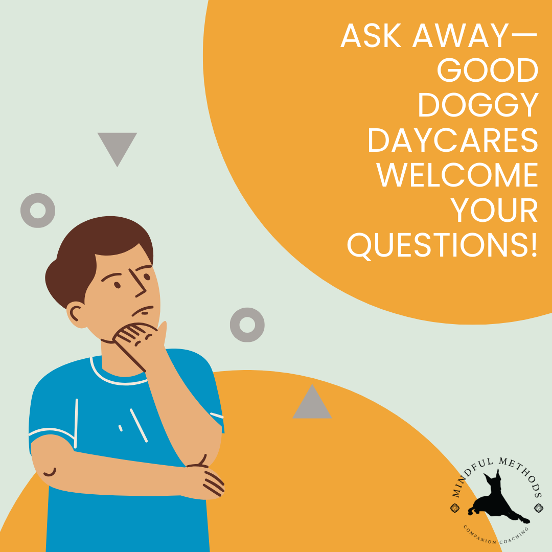 A graphic with a man thinking that says "ask away - good doggy daycares welcome your questions!"
