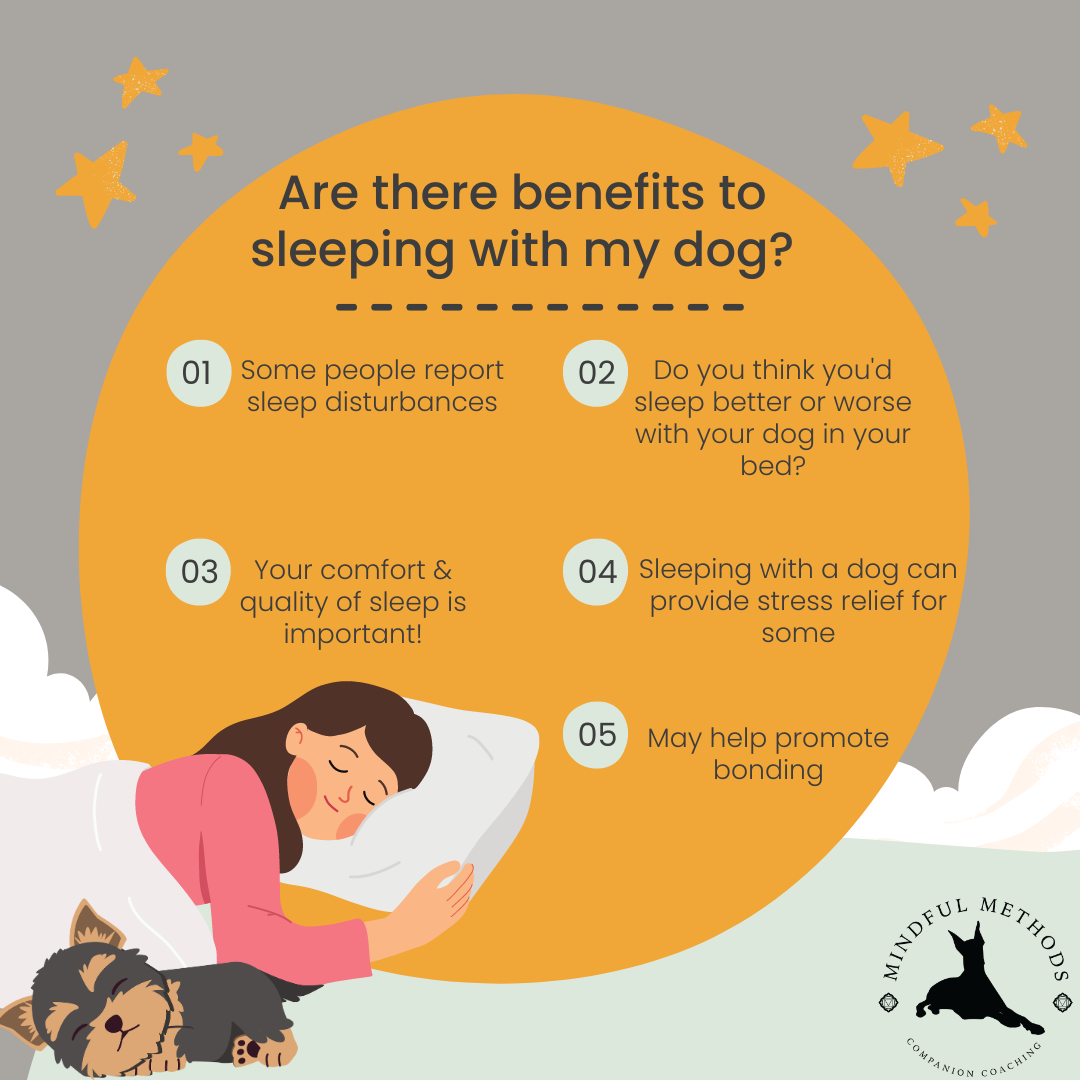 Sleeping Positions How To Sleep Your Dog Sleeping Positions Dog