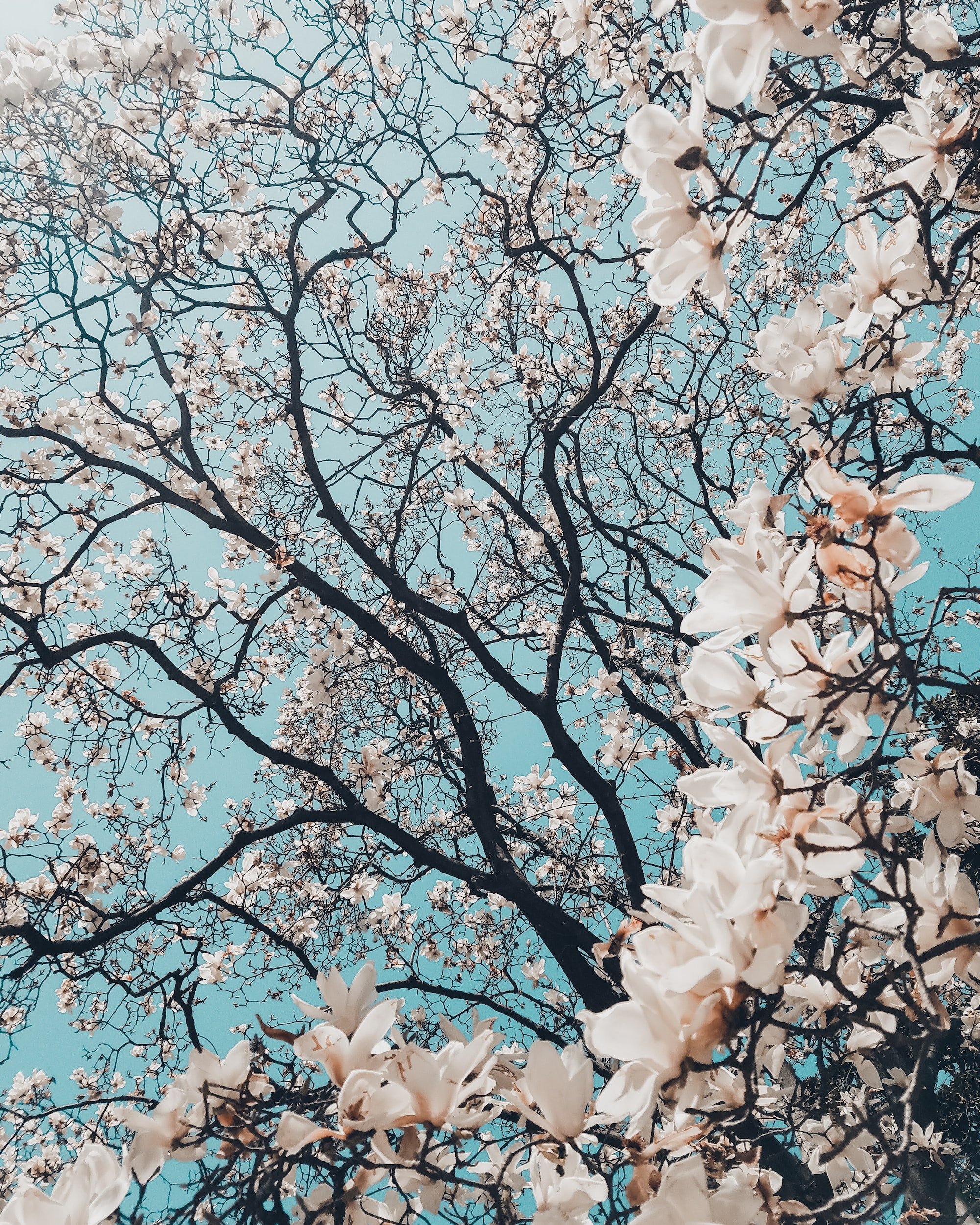 Dirty data be gone! Five tips to spring-clean your database