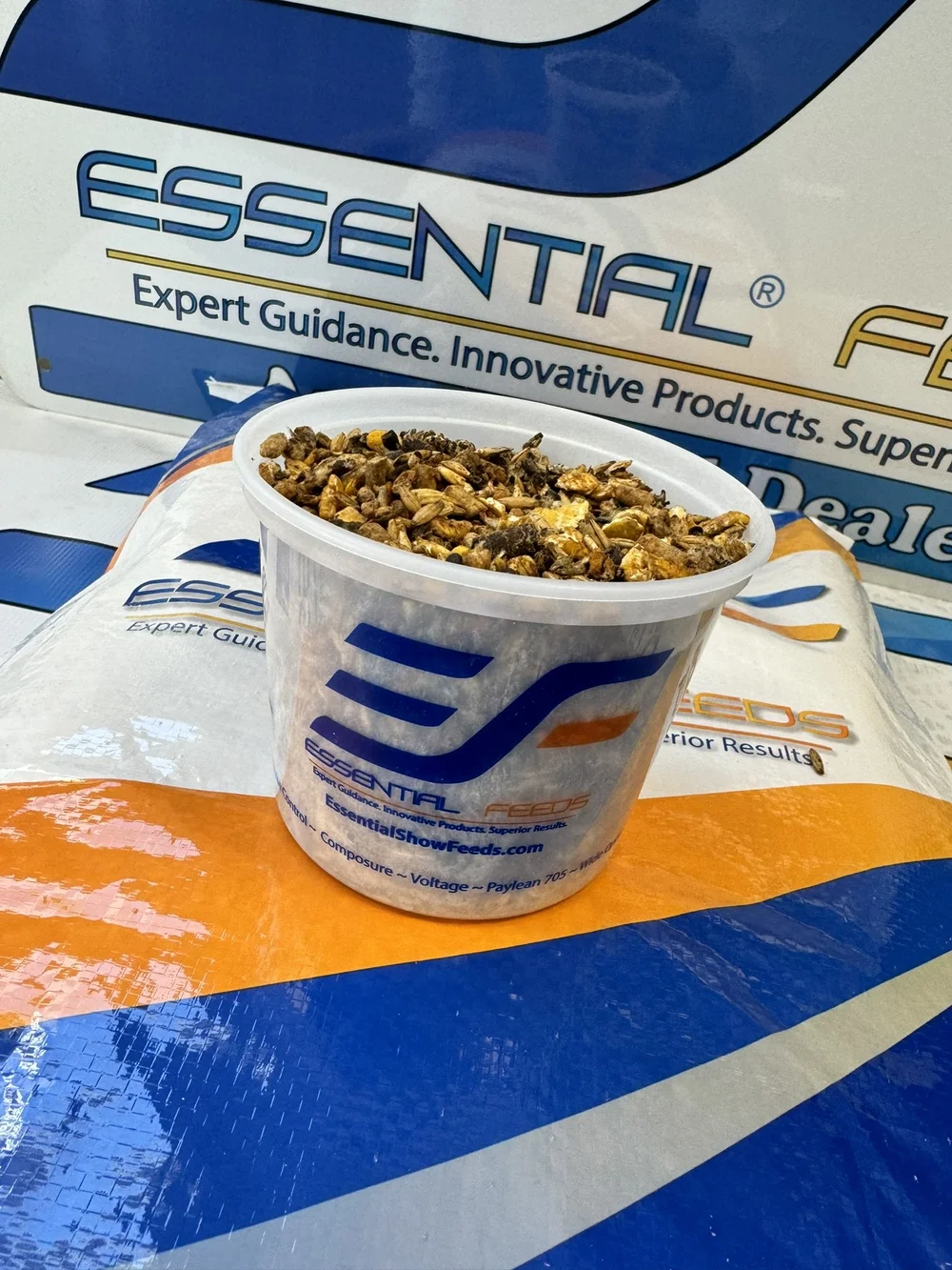 Essential Show Feeds: Beef Developer — Essential Feeds