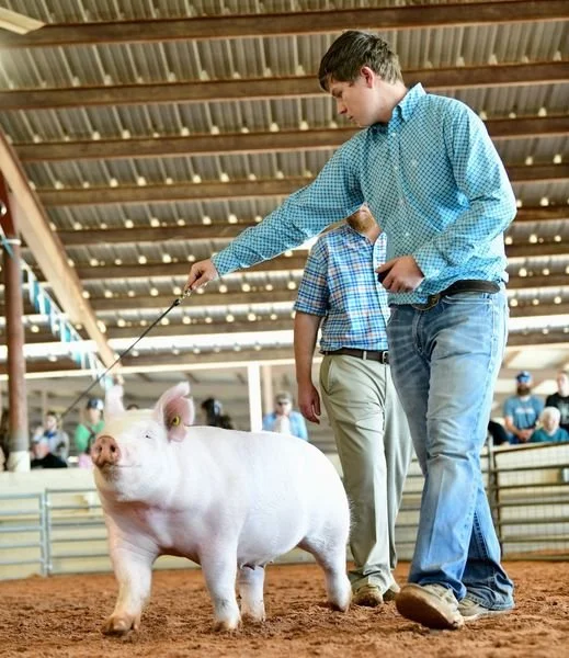 Show Winner | McKennon Stephenson