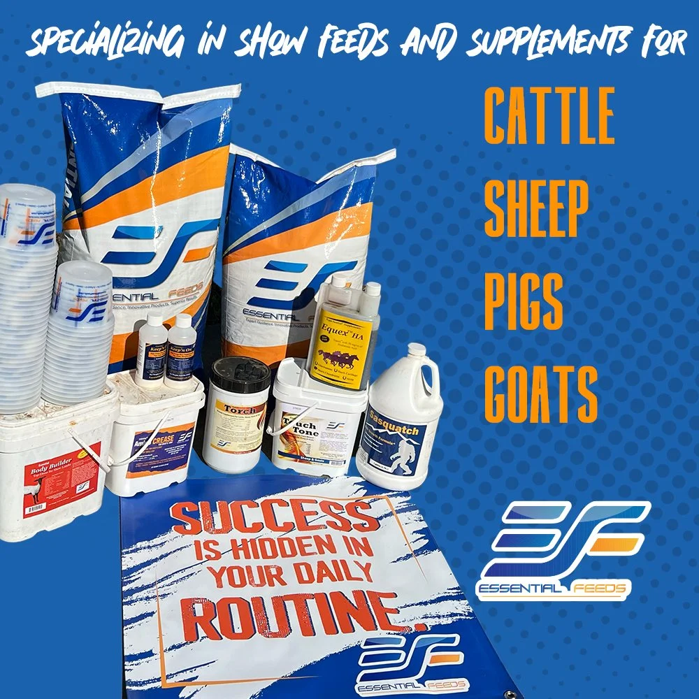 Essential Feeds | Enhance Show Animal Performance
