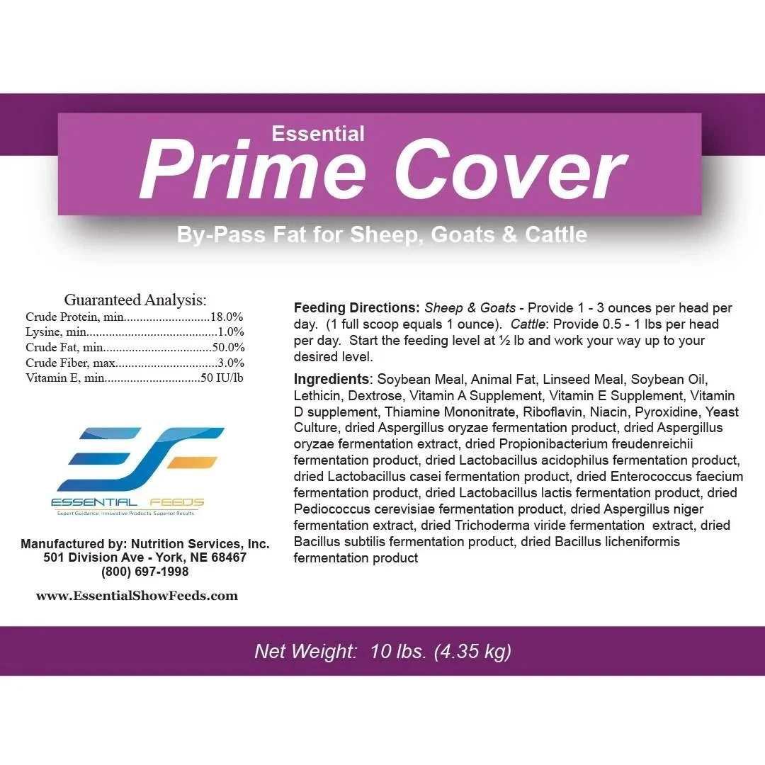 EF_PRIME-COVER_OPT.jpg