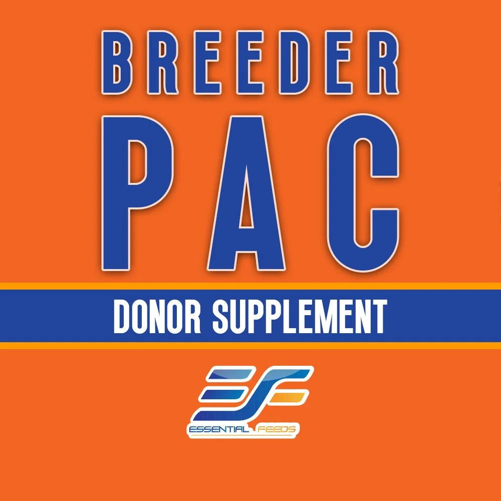 Curated visual reference: Essential Show Feeds Breeder Pac Photo Inspiration