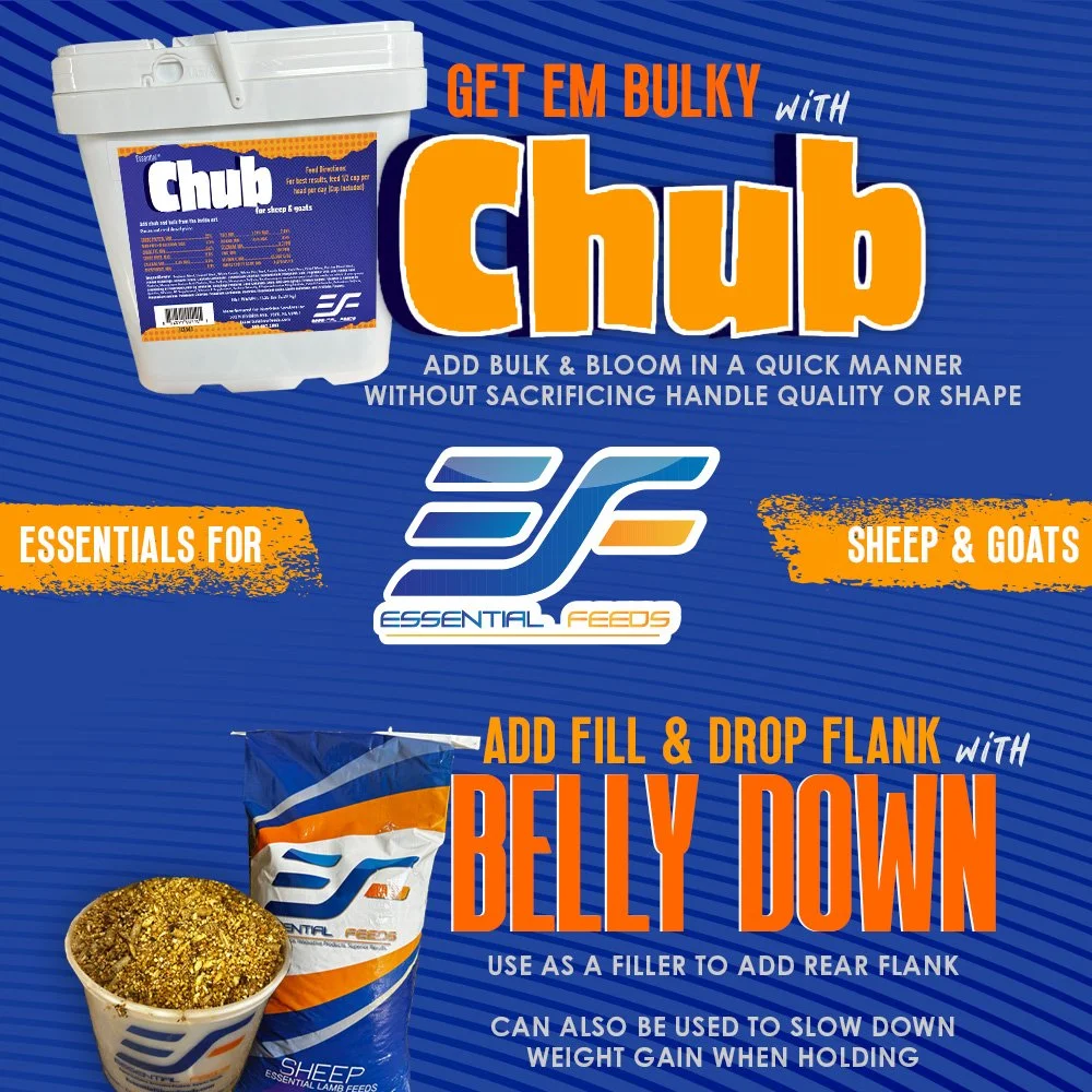 All Supplements | Enhance Show Animal Performance Today — Essential Feeds