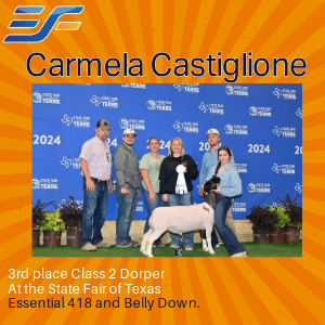 first 100-18-Carmela.png