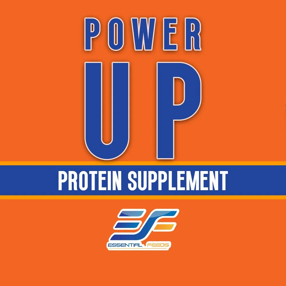 Essential Show Feeds: Power Up — Essential Feeds