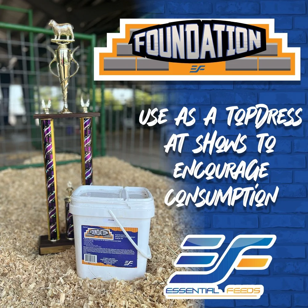 Goatis Filter All Supplements | Enhance Show Animal Performance Today — Essential Feeds
