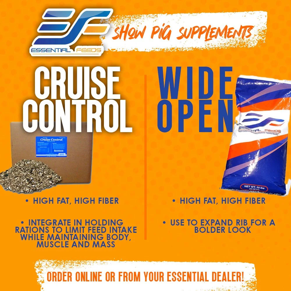 essential-pigsupps-cruise-wide.jpg