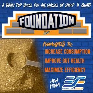 Goatis Filter All Supplements | Enhance Show Animal Performance Today — Essential Feeds