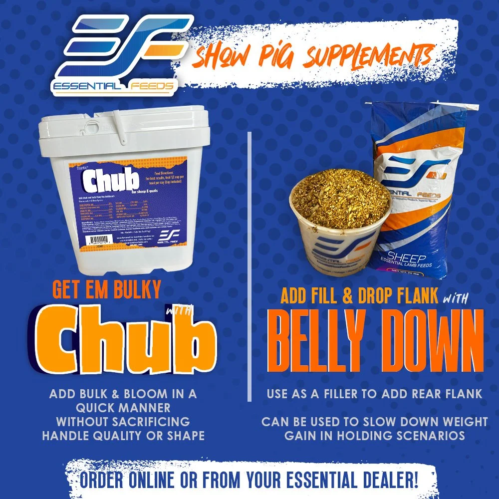 essential-supps-chub-bellydown.jpg