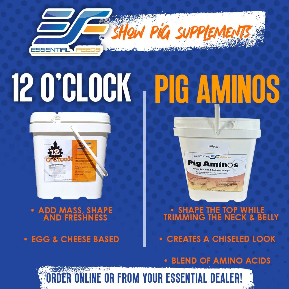 essential-pigsupps-12oclock-aminos.jpg