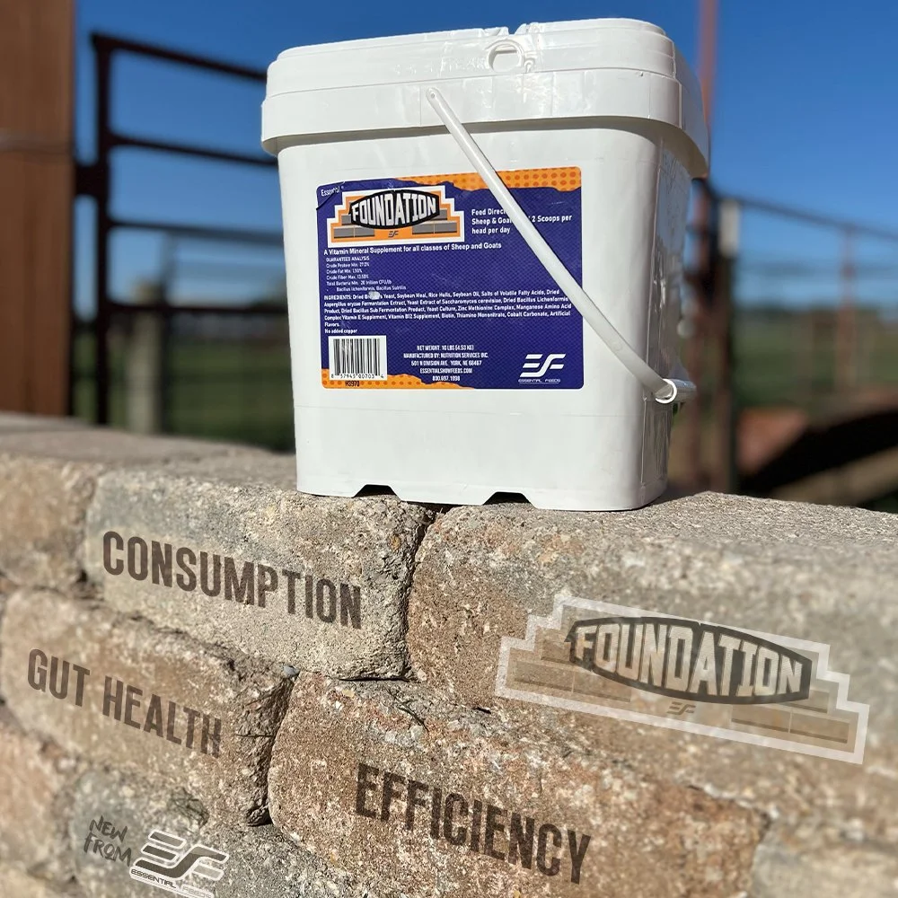 Goatis Filter All Supplements | Enhance Show Animal Performance Today — Essential Feeds