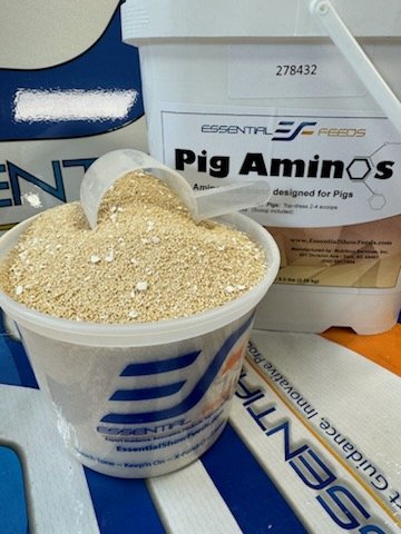 Pig Aminos.jpg