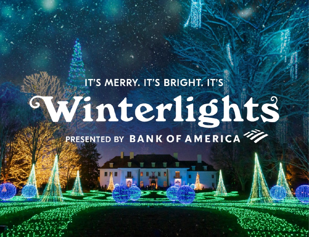 Winterlights Festival 2023