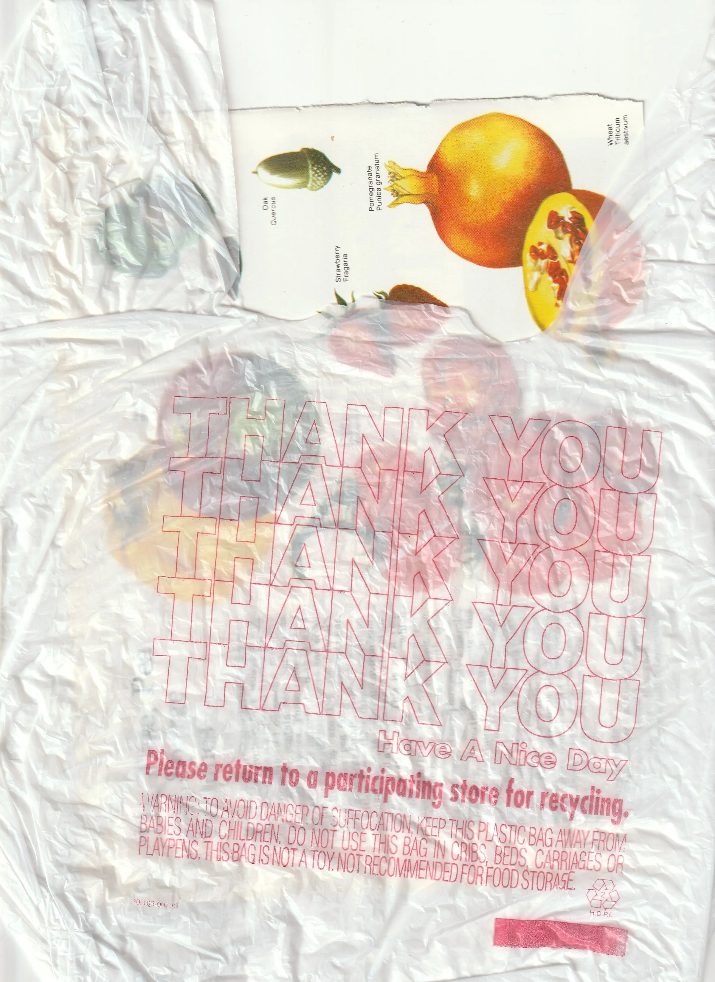 bag+and+fruit.jpg