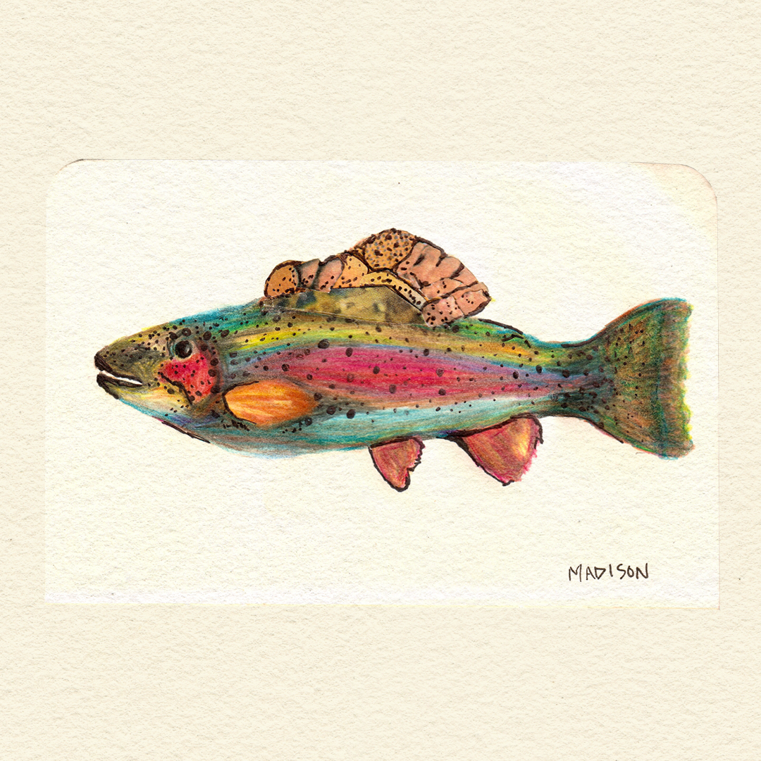 fish.png
