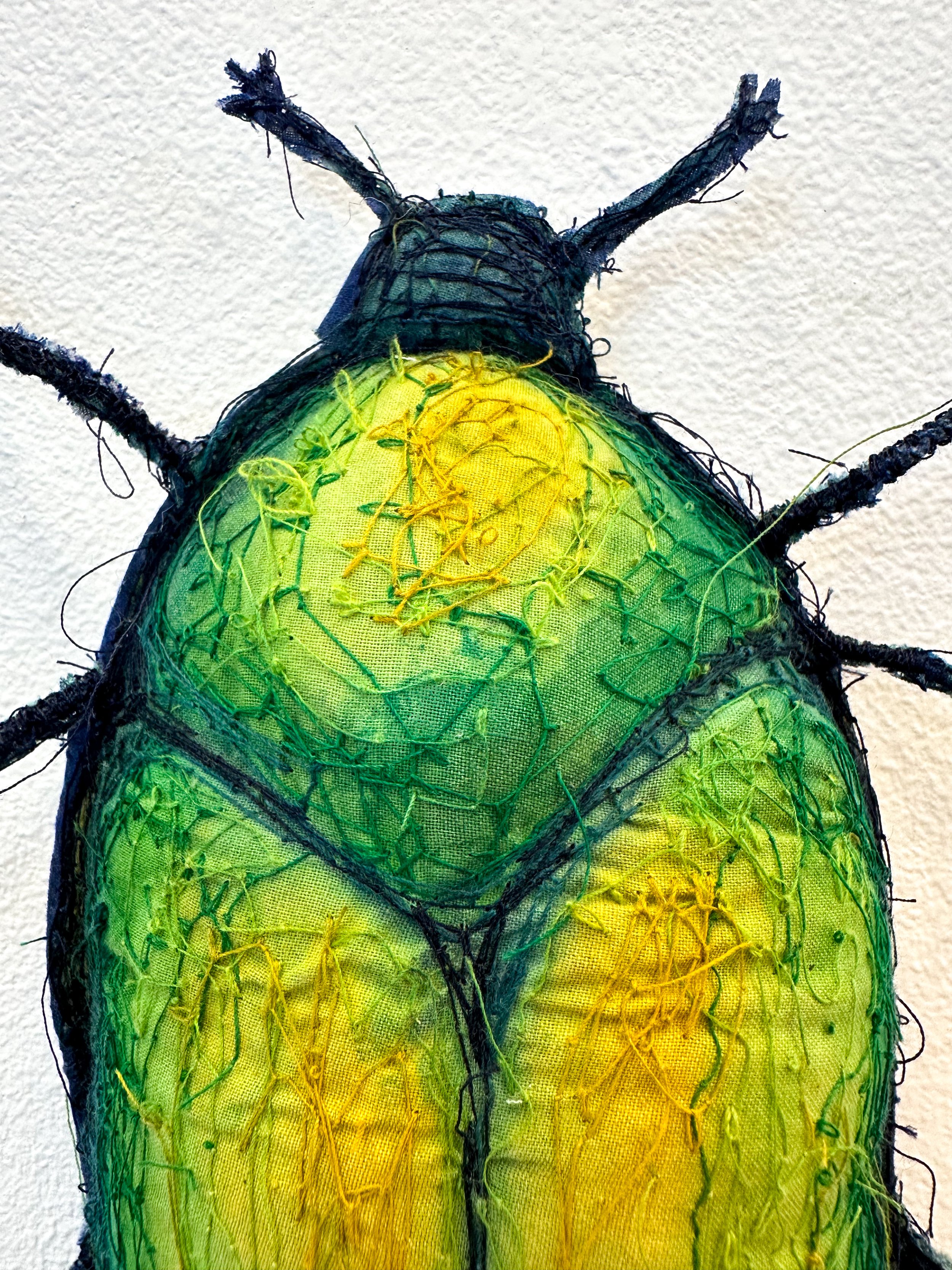 June Bug_Kole_Detail.jpg