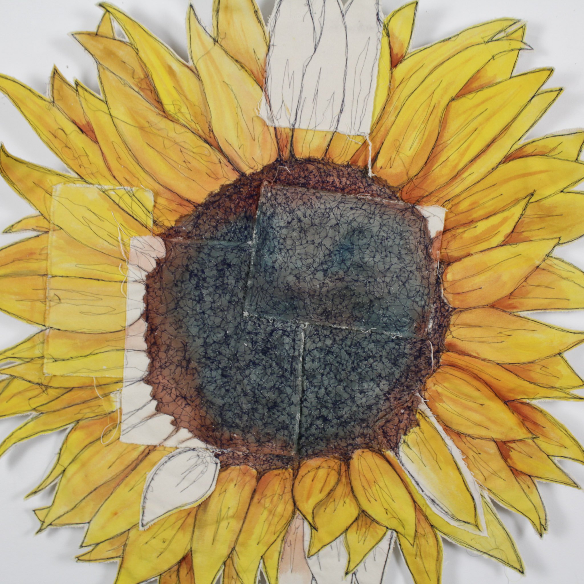 Sunflower_Kole_Crop.jpg