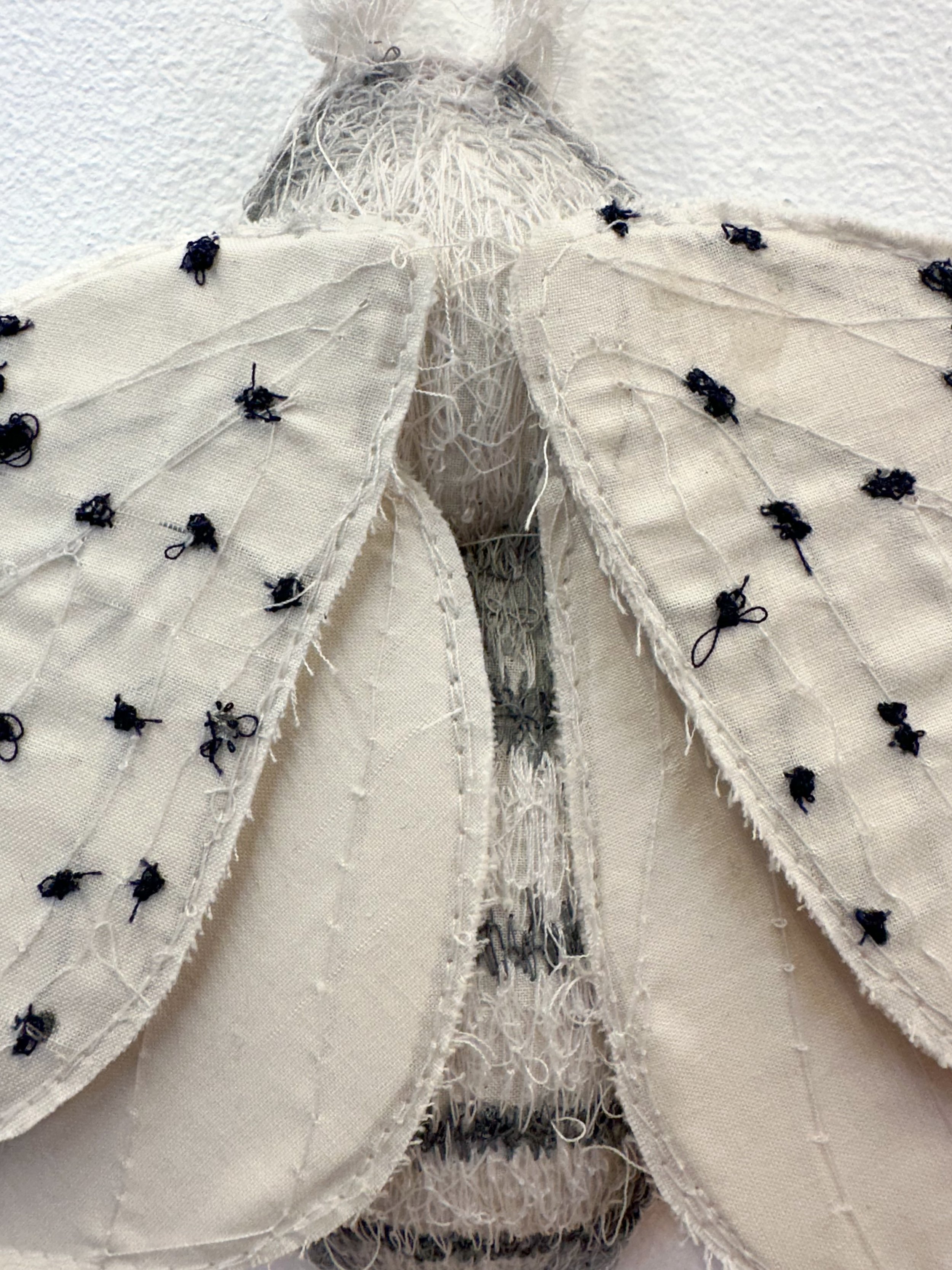 Moth_Kole_Detail.jpg