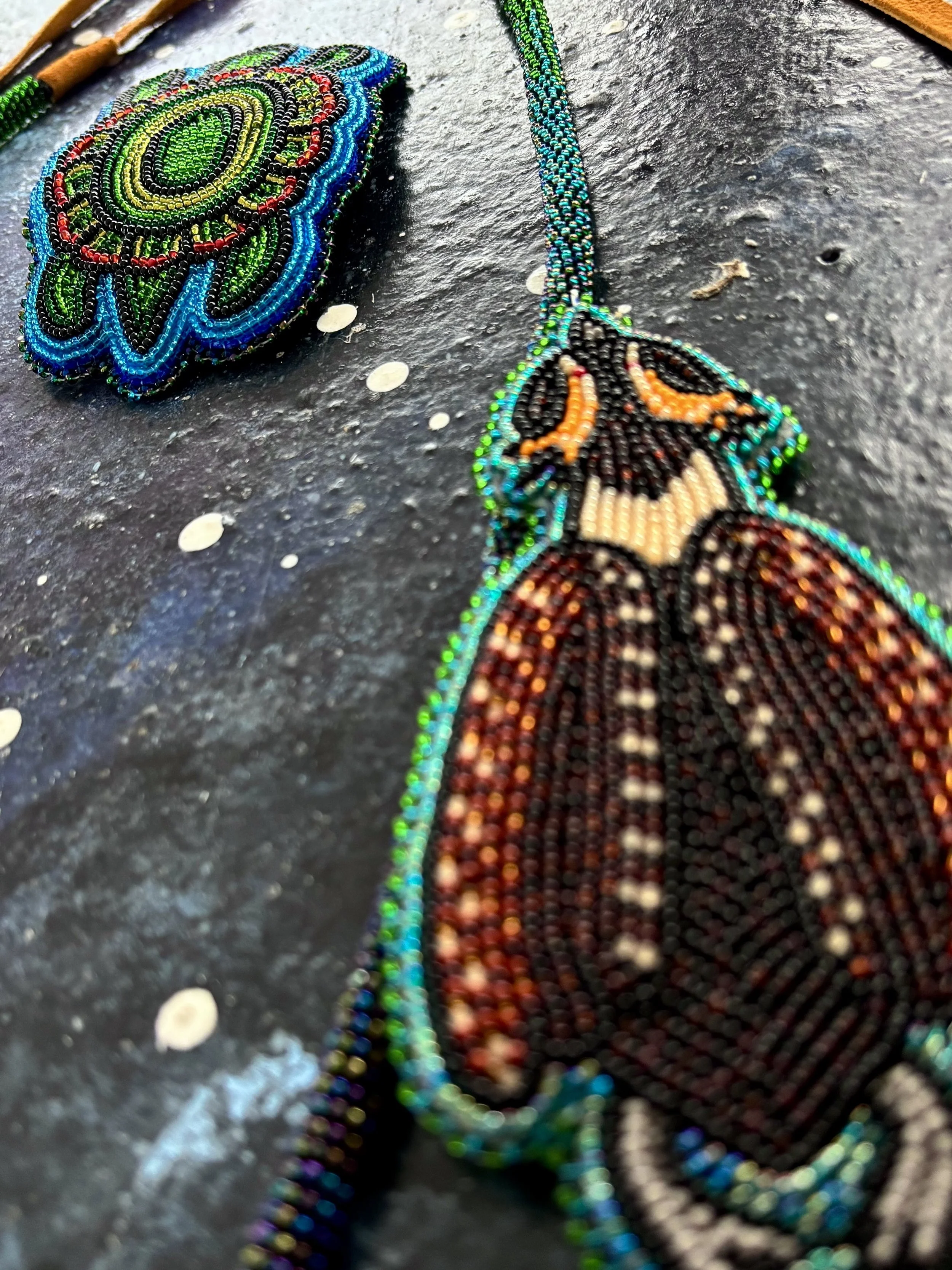 Grebe and Turtle Closeup 1.jpg