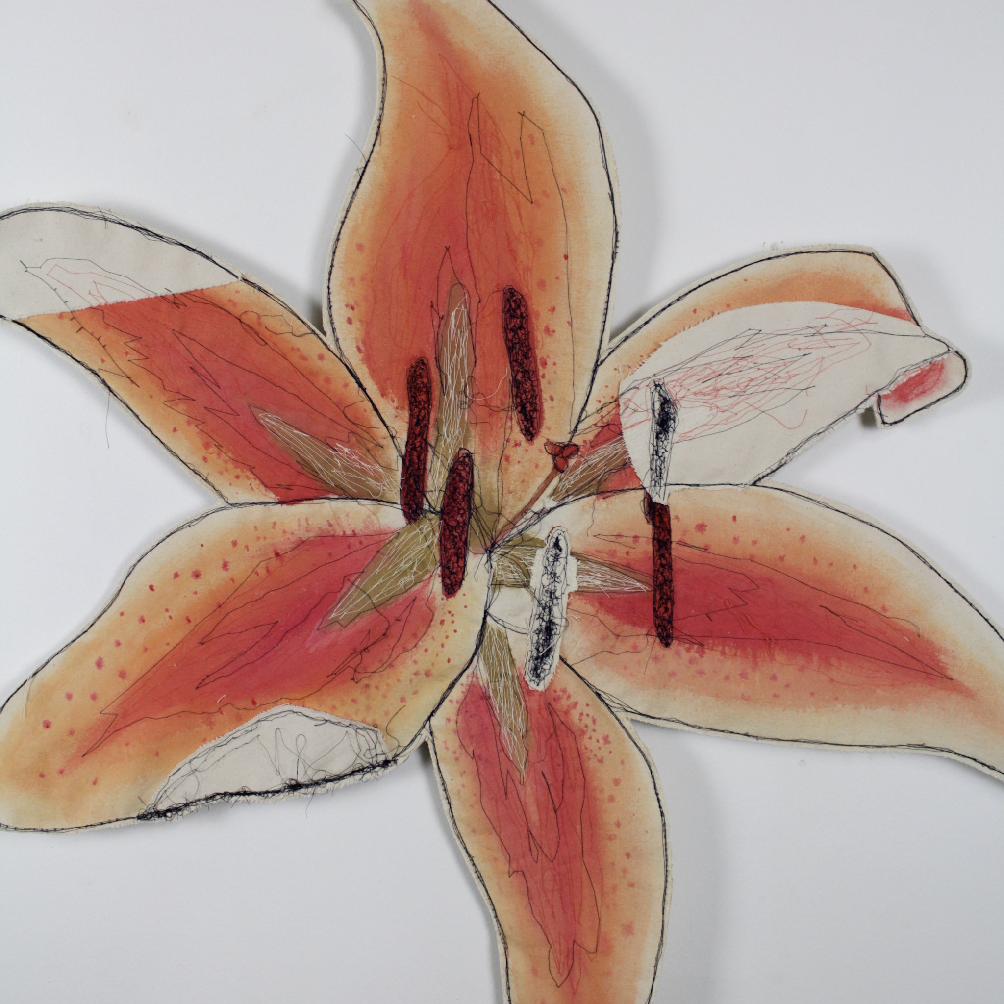 Lilium_Kole_Crop.jpg